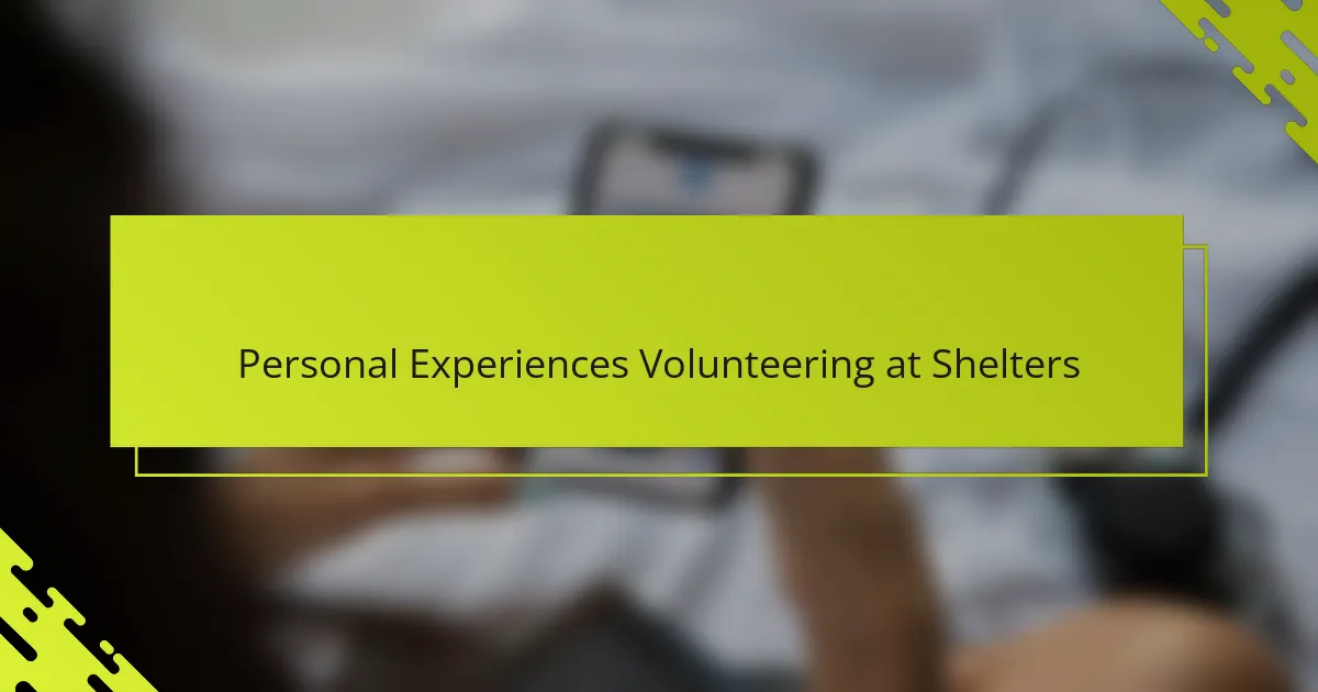 Personal Experiences Volunteering at Shelters