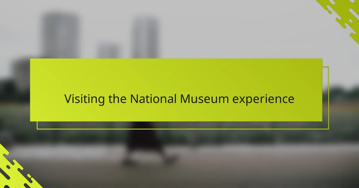 Visiting the National Museum experience